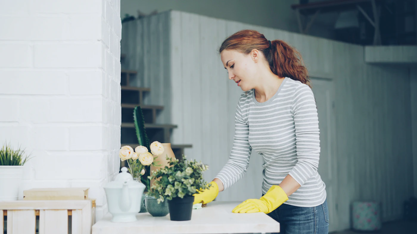 Cleaner in yellow gloves wiping down a table in a bright Toronto home, with no extra charge for everyday tasks